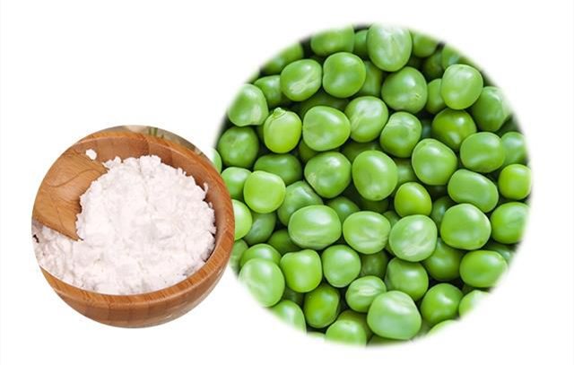 Pea Starch Powder.png